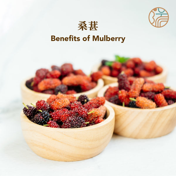 桑葚 Mulberry