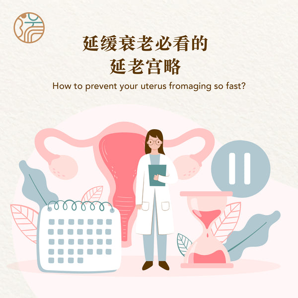延老宫略 How to prevent your uterus from aging so fast?